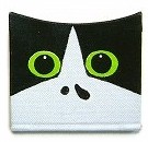 画像(135x130)